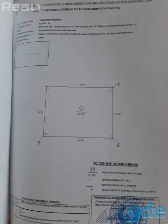 Земельный участок, с/т Птичь-2, Минская область, район, д.Нарейки, фотография 3
