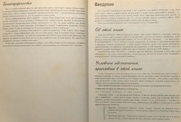 Джон Кауфельд -  Access 2003 для чайников, фотография 7