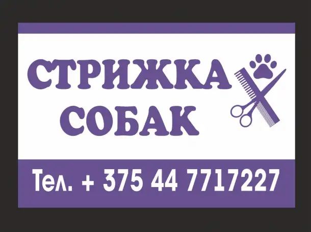 стрижка собак, фотография 1