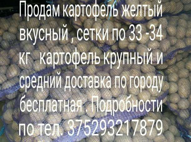 Картофель сортовой, фотография 1