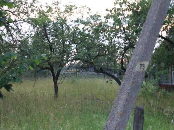 Дом в городском поселке, ул. Суражская, фотография 6