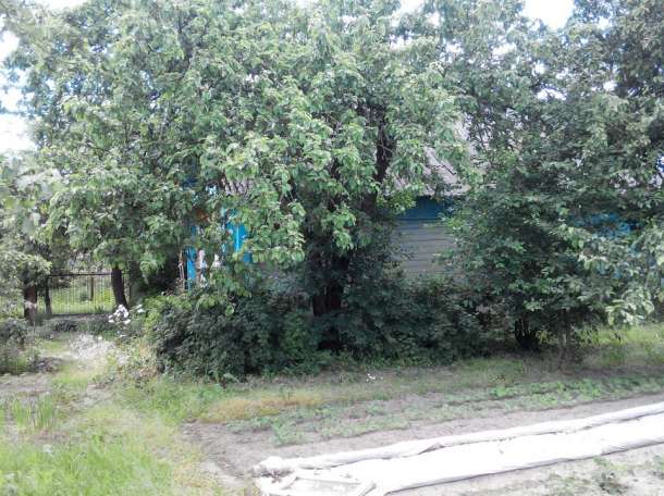 Участок с домом д.Бабий лес, фотография 6