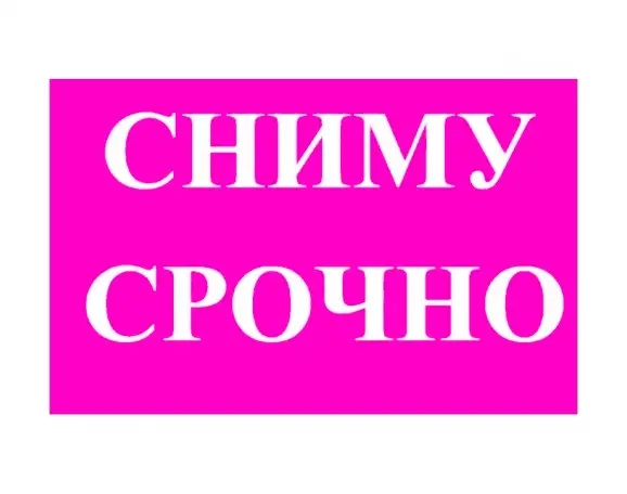 Серьёзная порядочная семья из двух человек без детей, животных и вредных привычек., фотография 1