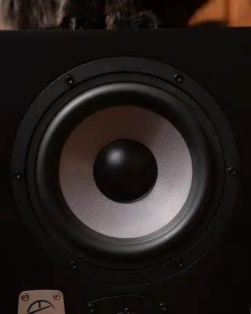 Студийные мониторы EVE Audio SC307 пара, фотография 2