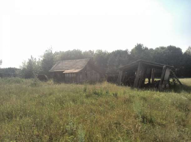 Домик в Деревне, фотография 8