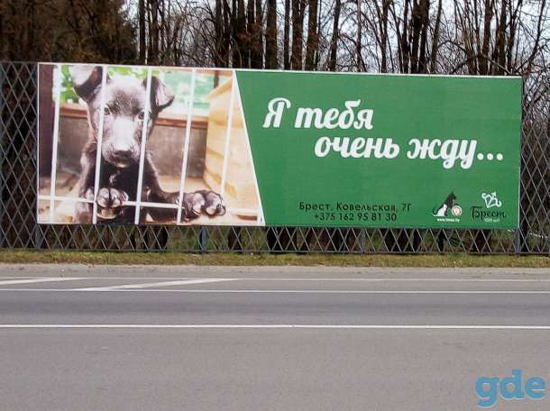 Собакам из Отлова БМПЗ нужна Ваша помощь!, фотография 1