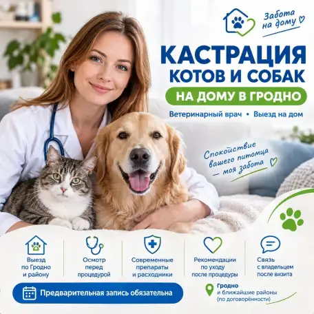 КАСТРАЦИЯ КОТА И СОБАКИ НА ДОМУ, фотография 1