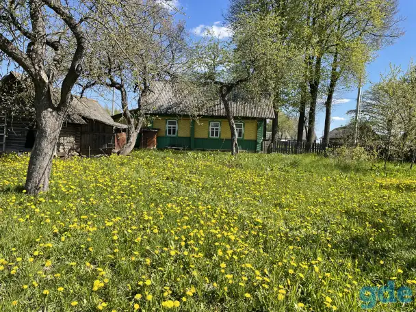 Дом,участок, Могилевский район,д. Азаровка, фотография 5