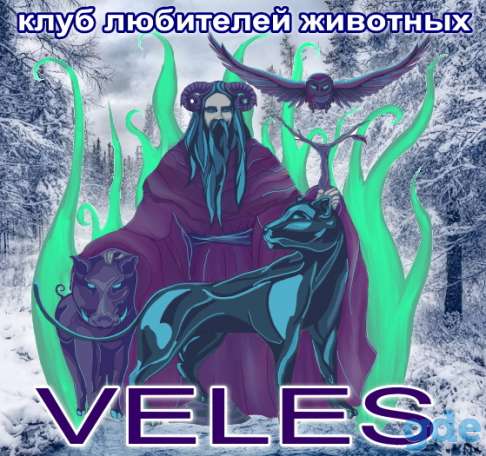 Оформление родословных документов, фотография 1