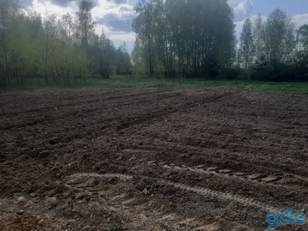 Сдам в аренду разработанный участок 20 соток под пшеницу или картошку., фотография 2