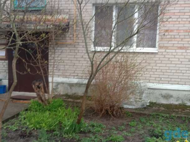 Продам трёхкомнатную квартиру в Столбцах, 37, фотография 1