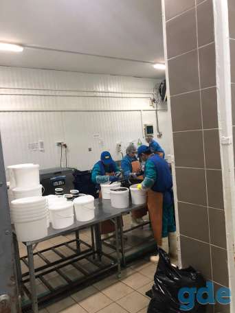 Рабочие на морепродукты. (РФ. Семейным комната), фотография 3