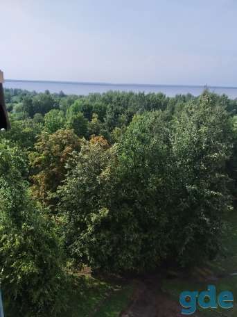Срочно, фотография 2