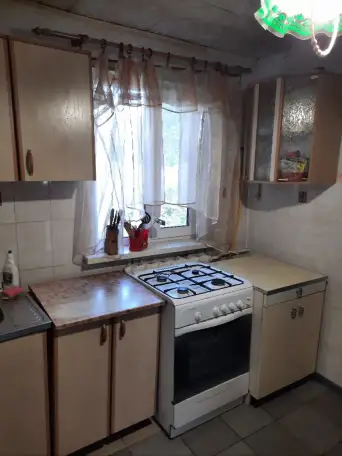 Жилой дом с баней и гаражами ул.М.Горького, 55 в г.Могилеве, фотография 11