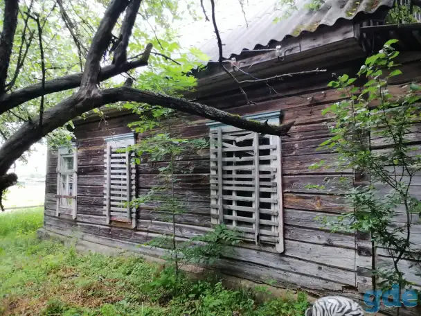 Дом Гомельская область район д Колки, фотография 4