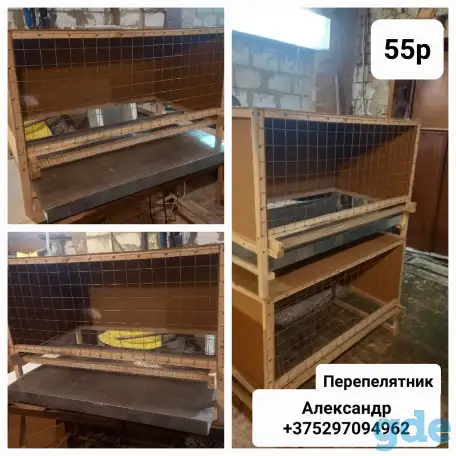 Перепелятник,, фотография 1