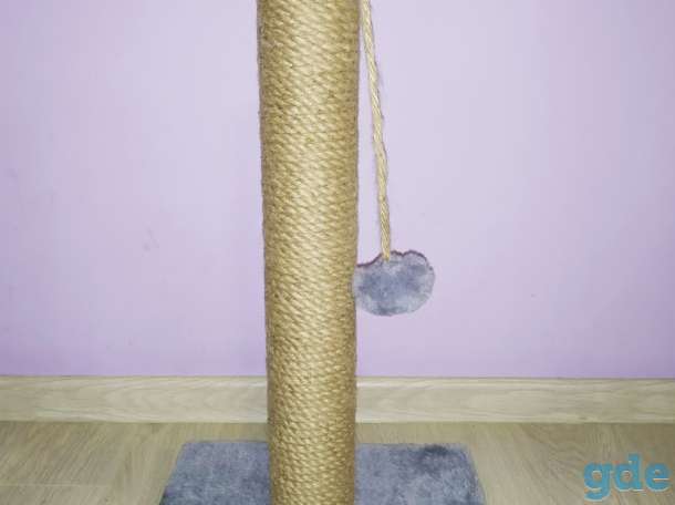 Когтеточки, фотография 5