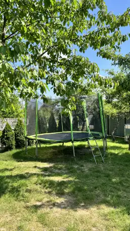 Беседка в саду на 40 человек, Клейники, ул.Центральная, 86, фотография 8