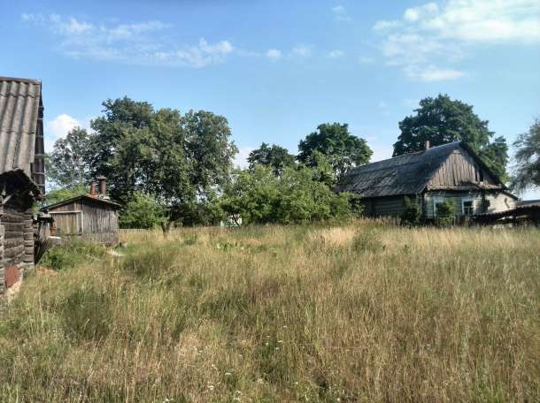 Домик в Деревне, фотография 11