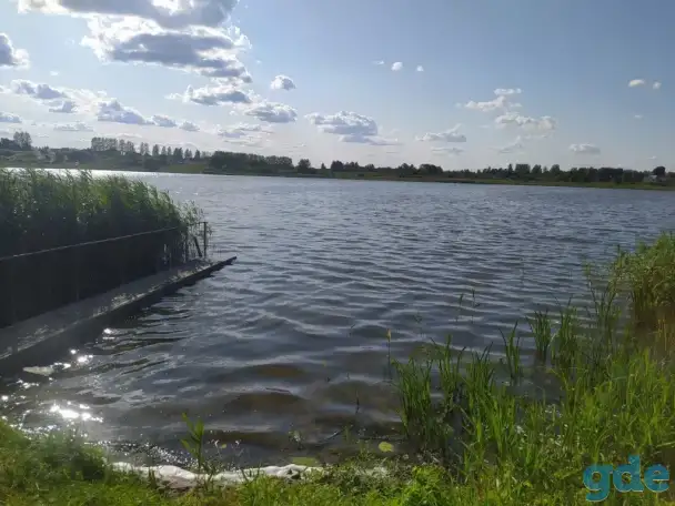 прекрасный участок на берегу озера Городно, Озёрная ул, 13, деревня Городнянский Мох, Новкинский сельсовет, район,, фотография 10