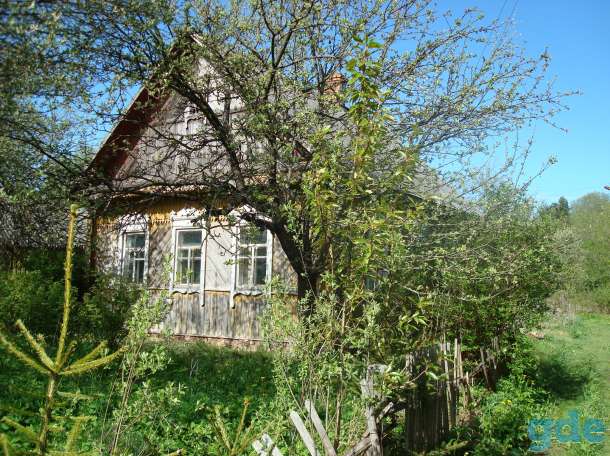 Дом в деревне, Витебская обл, р-н, д. Свиравщина, ул Зелёная 18, фотография 3