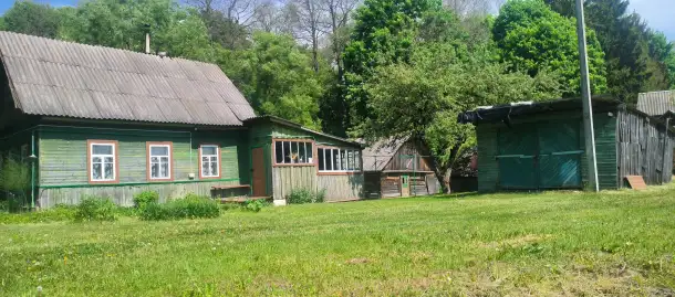 Земельные участок, Д Любуж, ул Колосок 16, фотография 4