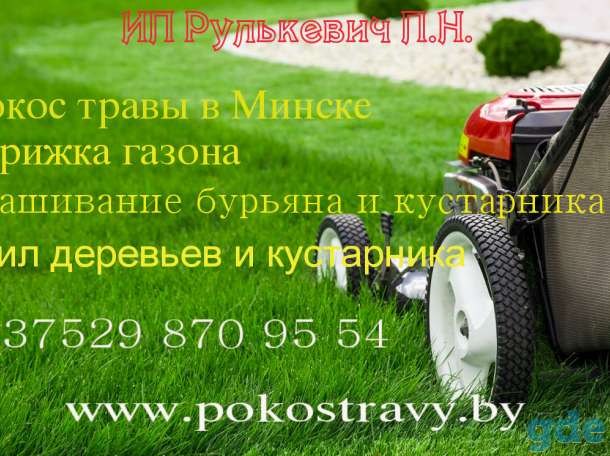 Покос травы и стрижка газона в Минске и области, фотография 1