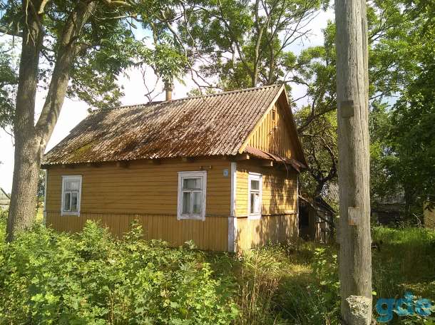 Продам дом на хуторе. Брашевичский сельсовет, фотография 1