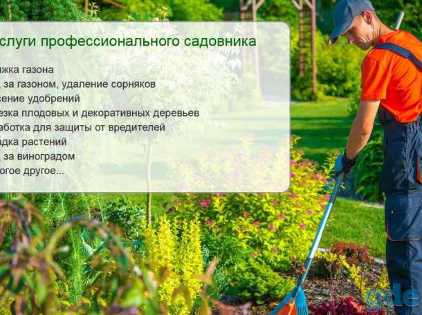 САДОВНИК-комплексное обслуживание!, фотография 1