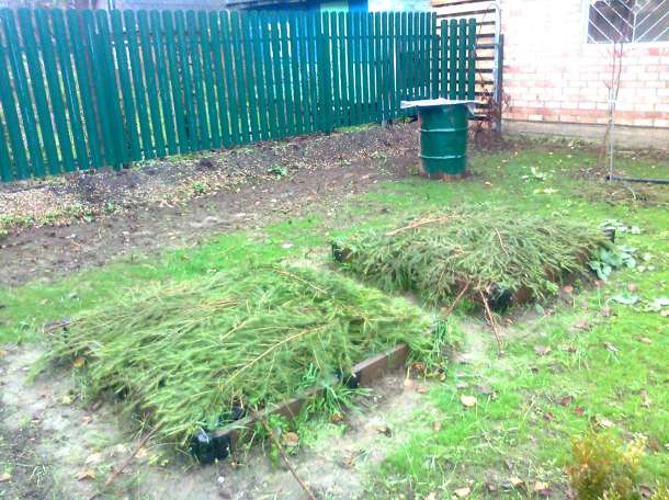 участок в порядок, фотография 5