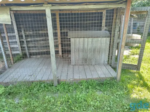 Продаем, фотография 3