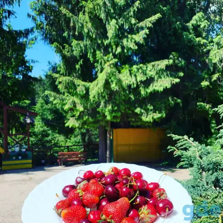 Дом на сутки у реки Витебск. Живописное место, фотография 9