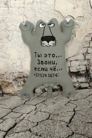 Кот в машину с номером телефона, фотография 2