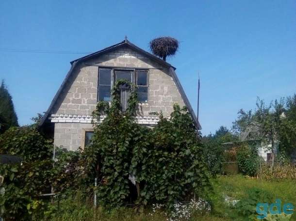 Дача, фотография 8