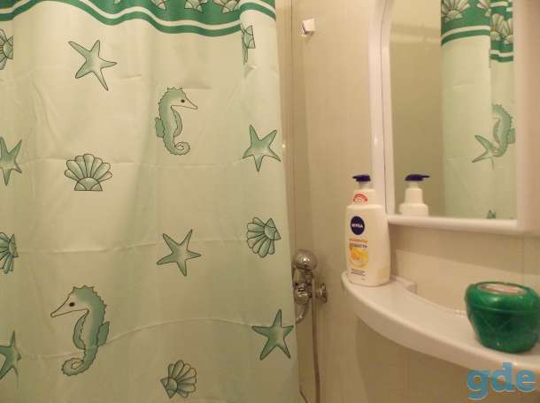 Уютная 1-комн. квартира на часы и сутки в центре, пр. Революции, фотография 4