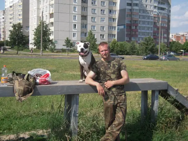 Дрессировка собак., фотография 1