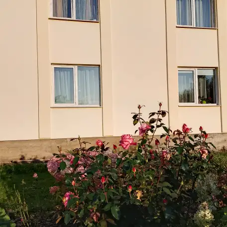 Продам дом рядом с городом Вилейка, Вилейский район, д. Ивонцевичи, ул. Луговая, д. 10, фотография 5