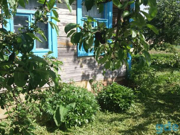 Продаю 1/2 часть Дома и участка, Брестская обл., Столинский р-н, аг. Коротичи, фотография 2