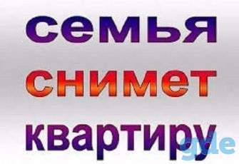 Семья из двух человек снимет квартиру, фотография 1