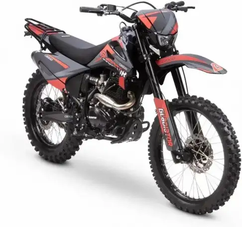 Мотоцикл GLADIATOR C3 CB300, фотография 12