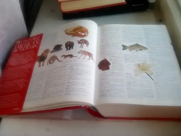 Oxford Illustrated American Dictionary, 2000, фотография 2