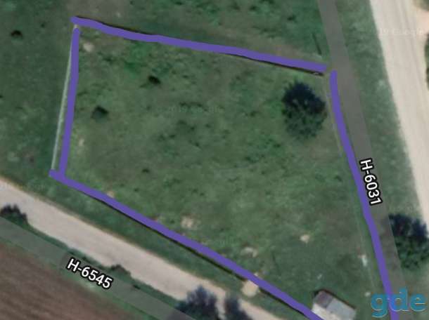 Продам участок 45 соток 7км от Гродно, Заречанка д.2, фотография 3