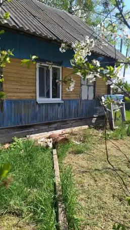 Продам дом с участком, д. мылые Завшицы, фотография 1