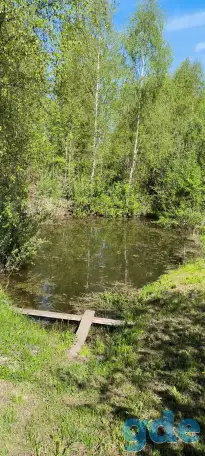 Продаётся дача Демидовичский сельсоветКостюковичский р-нп.Пролетарий, фотография 3