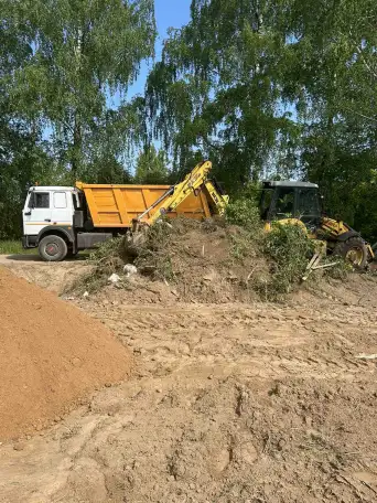 Вырубка деревьев ,обрезка ., фотография 4