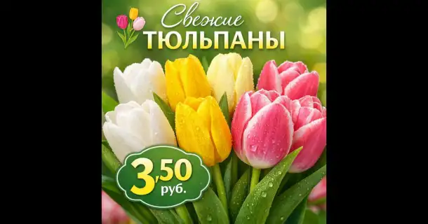 Свежие тюльпаны разных цветов в наличии, фотография 1