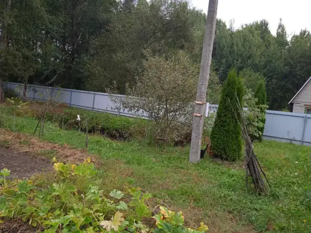 Продажа, СТ. Лукоморье. Прудовский с/с Мозырского района, фотография 9
