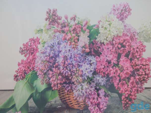 Картина репродукция, фотография 2