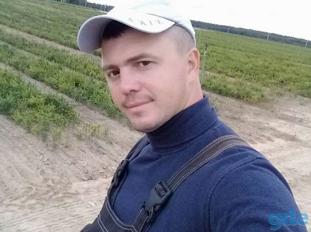 Ищу работу, фотография 1