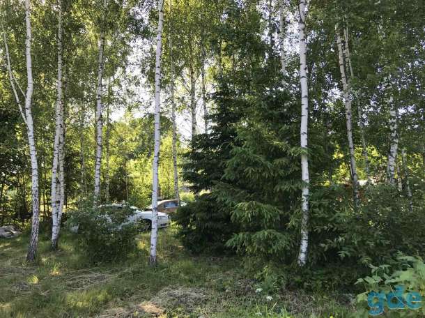 Участок дачный 10 соток, д. Мерковичи Логойского р-на, фотография 4